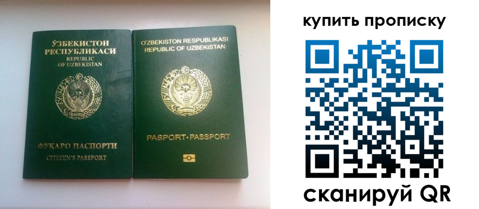 прописка в квартире в Десногорске